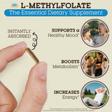 Teraputics L-Methyl Folate 15mg Supplement ingredients list