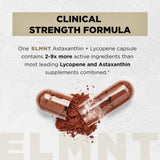 TERRA ELMNT Astaxanthin & Lycopene Supplement ingredients list