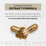 TERRA ELMNT Black Maca & Ashwagandha Supplement capsule close-up