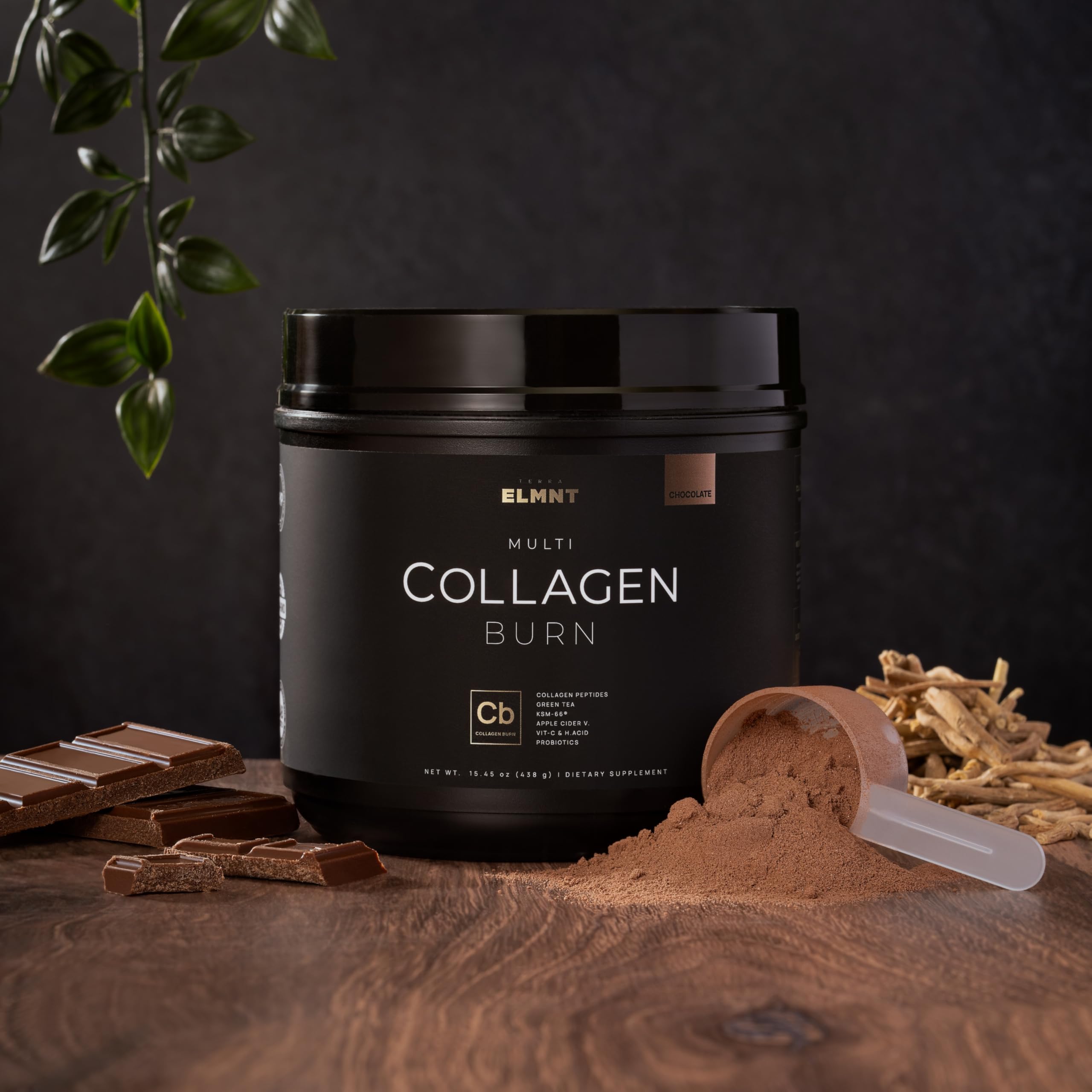 TERRA ELMNT Chocolate Collagen Burn Powder scoop
