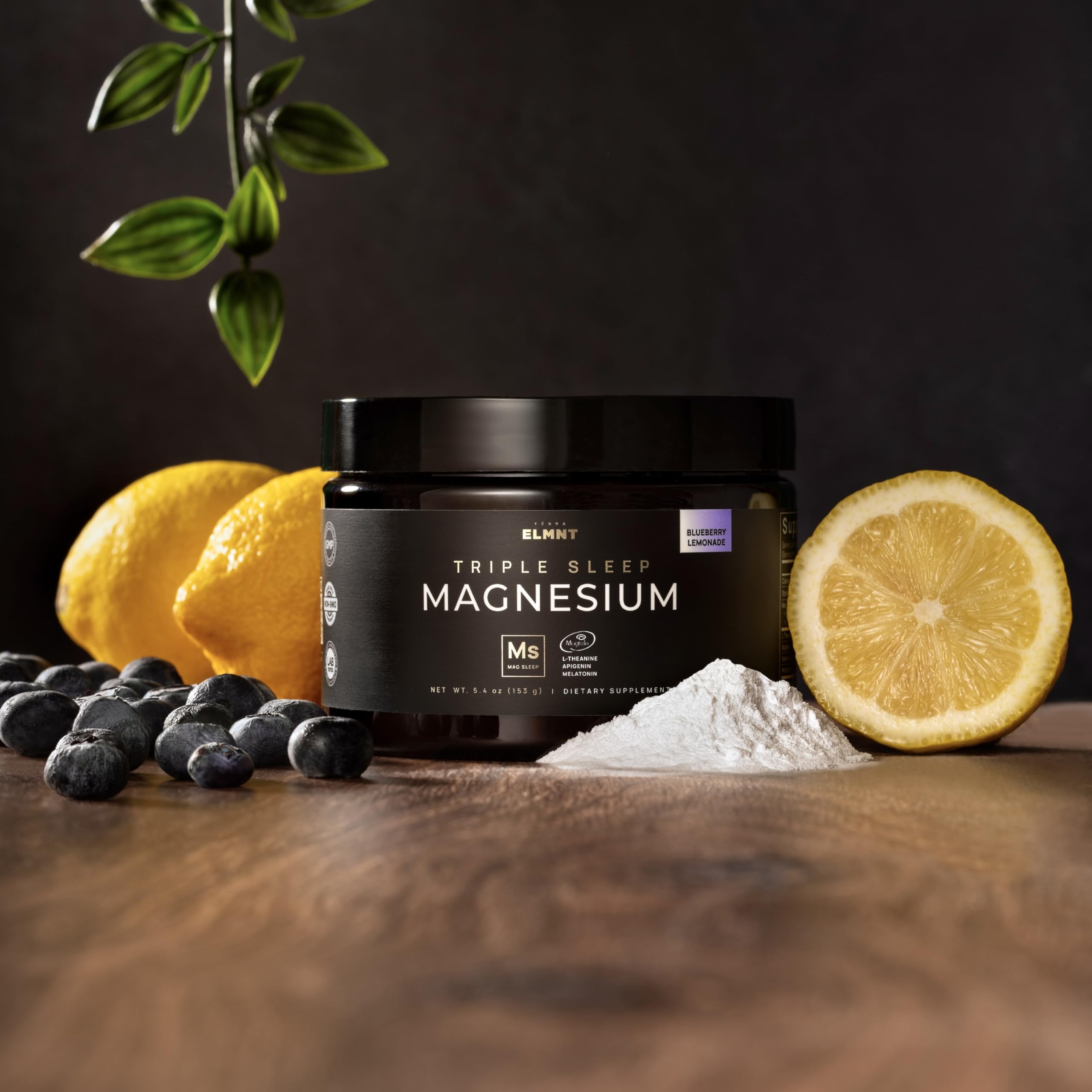 TERRA ELMNT Magnesium Threonate Sleep Powder 2000mg scoop with powder