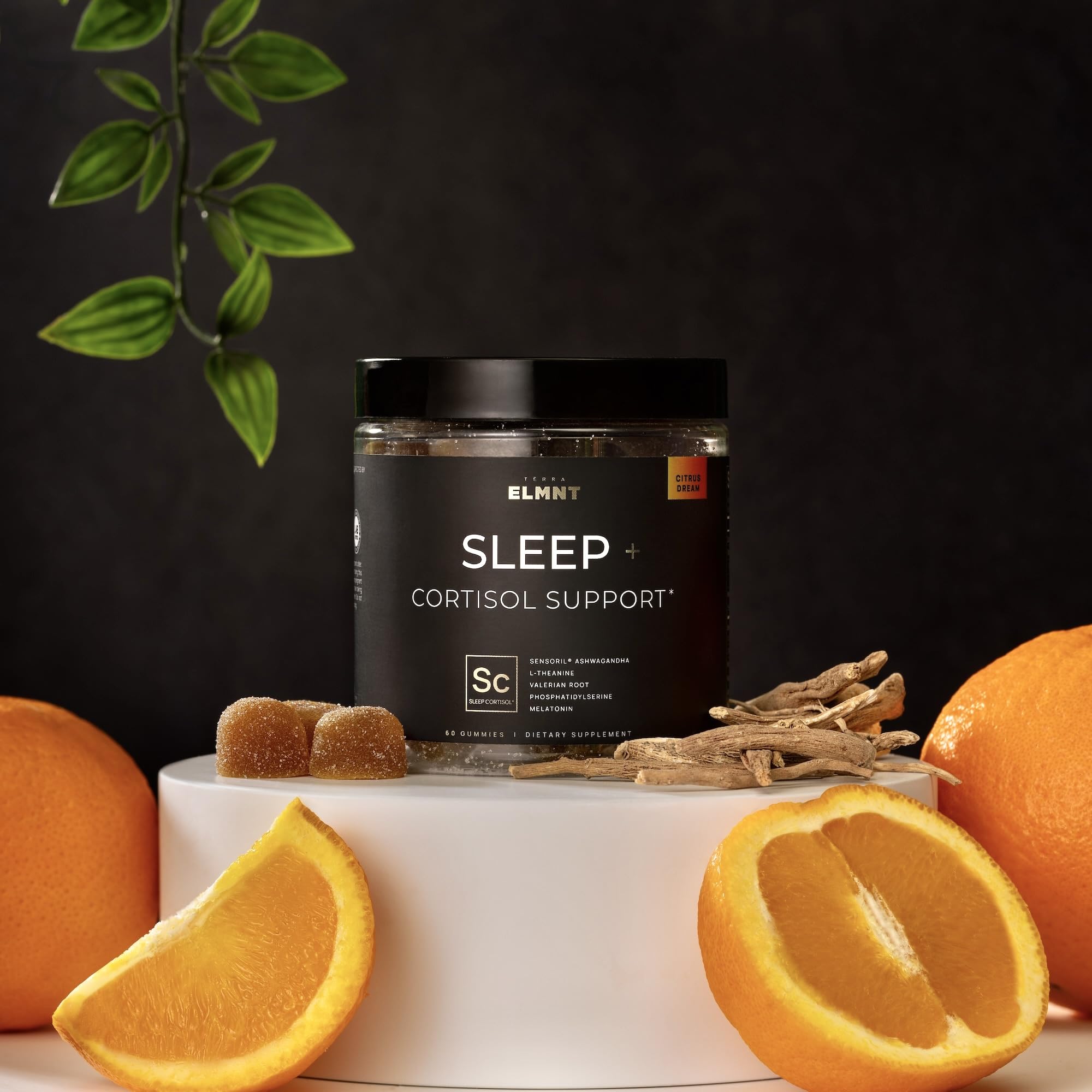 TERRA ELMNT Melatonin XR Sleep Gummies close-up of gummies