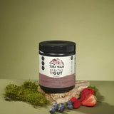 TERRA ORIGIN Healthy Gut Powder 120g packaging