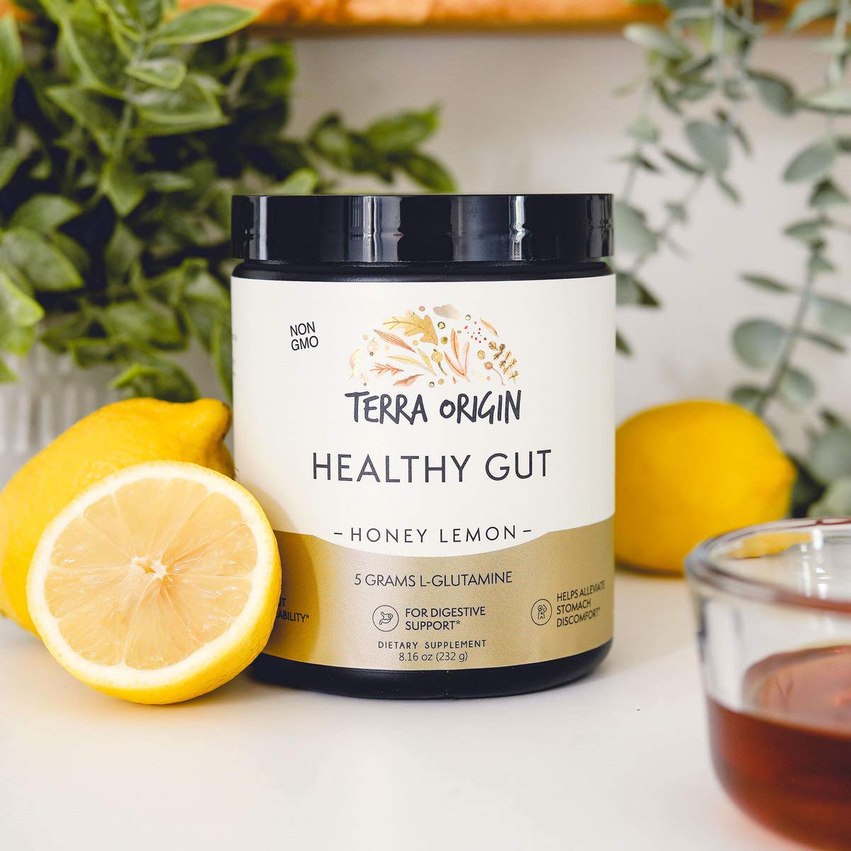 TERRA ORIGIN Healthy Gut Powder 232g with measuring scoop