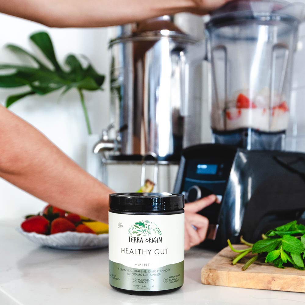 TERRA ORIGIN Healthy Gut Powder 272g displayed on a kitchen counter