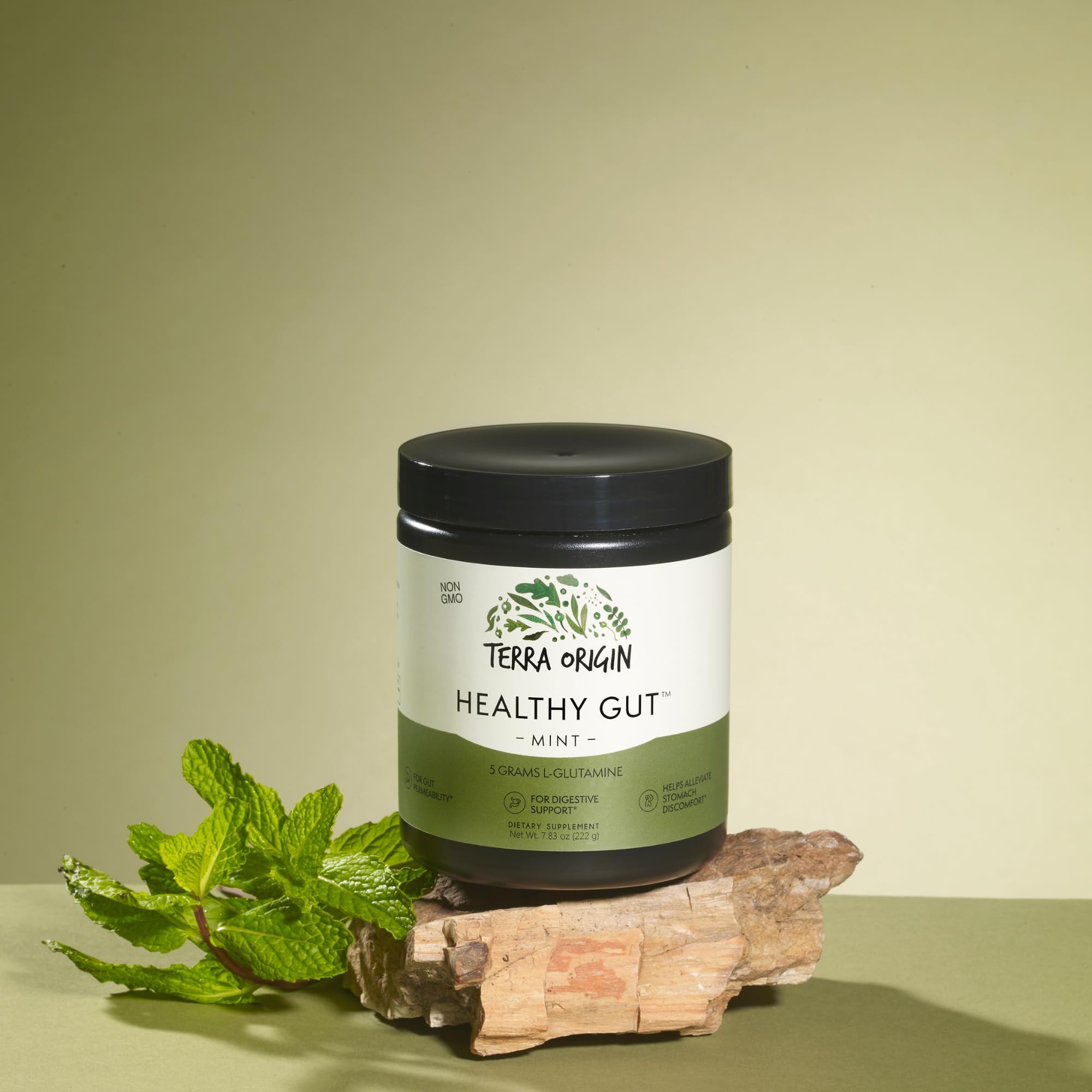 TERRA ORIGIN Healthy Gut Powder 272g side view showing ingredients