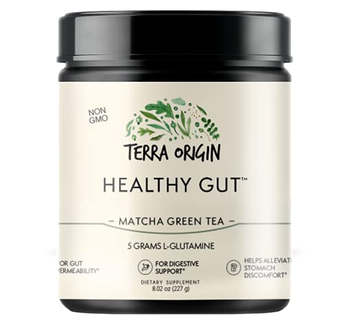 TERRA ORIGIN Healthy Gut Powder 299g lifestyle shot
