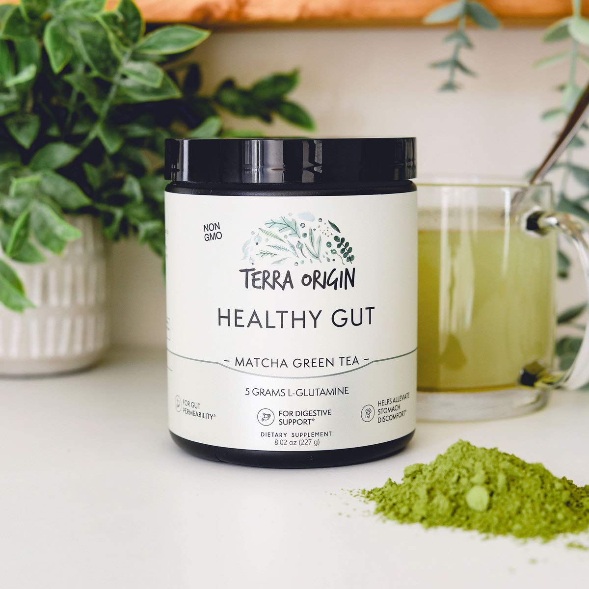 TERRA ORIGIN Healthy Gut Powder 299g mixed in water