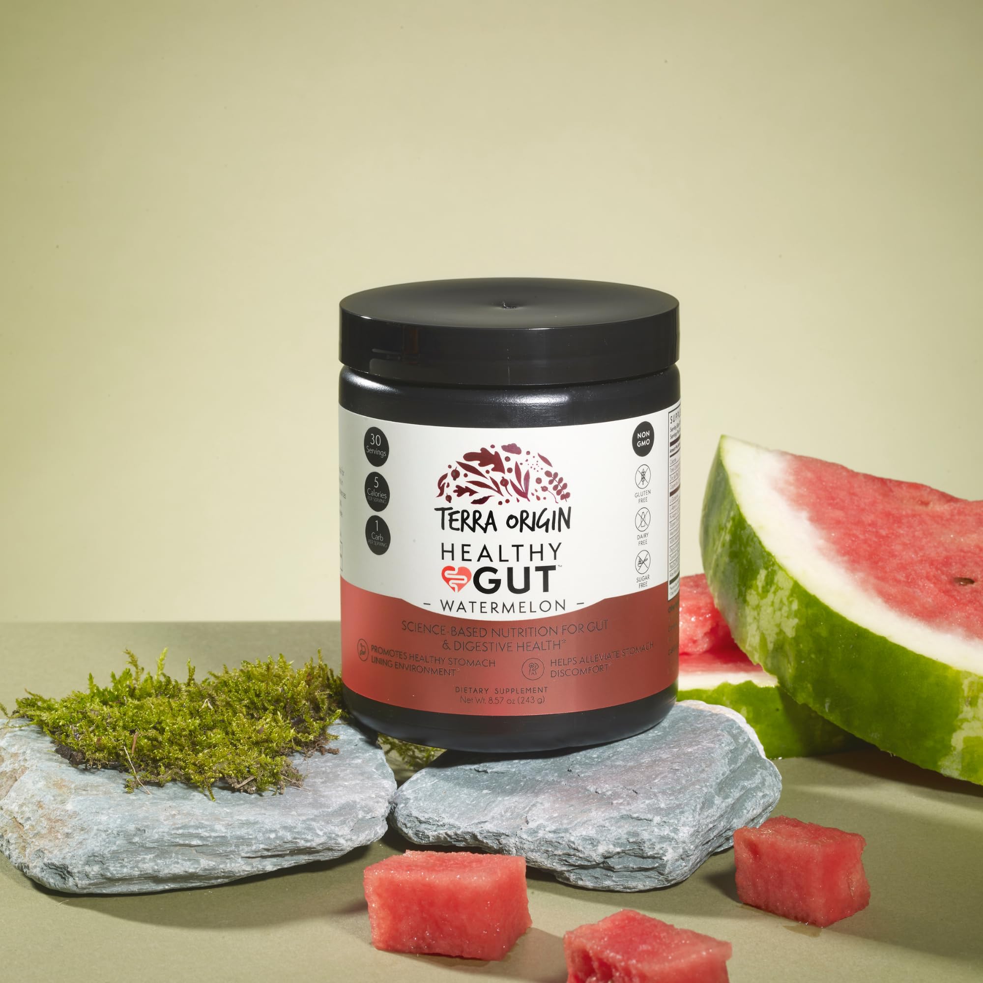 TERRA ORIGIN Healthy Gut Powder 308g side view showing ingredients