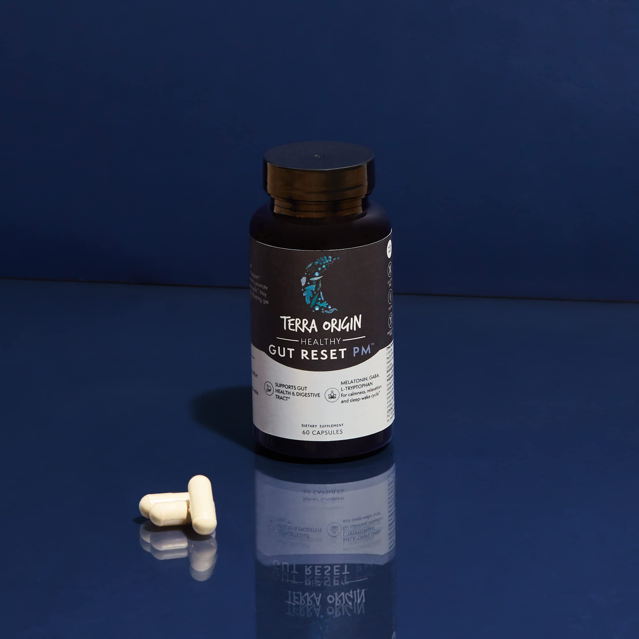 TERRA ORIGIN Healthy Gut Powder 77g back view