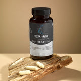 TERRA ORIGIN Healthy Gut Powder 77g packaging