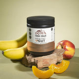TERRA ORIGIN Healthy Gut Powder packaging
