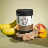 TERRA ORIGIN Healthy Gut Powder powder texture