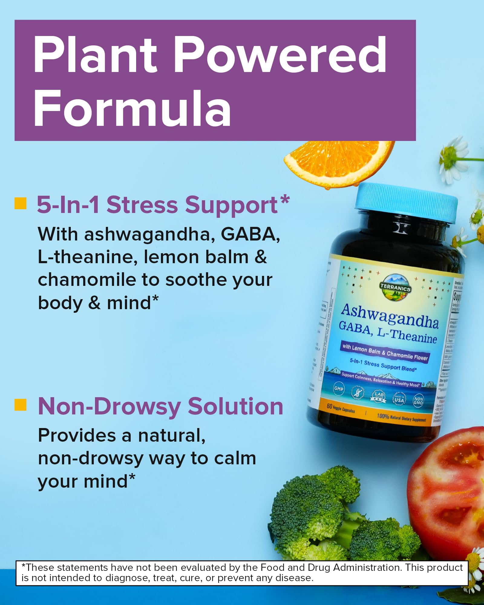 Terranics Ashwagandha L-Theanine Supplement packaging