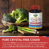 Terranics CoQ10 200mg Softgels with olive oil close-up
