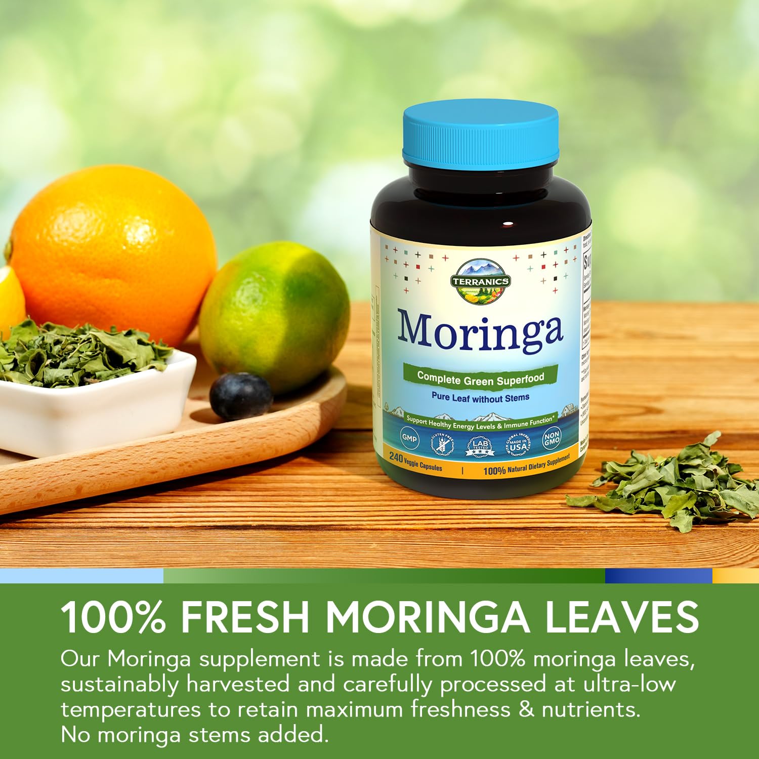 Terranics Moringa Supplement capsules in a hand