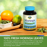 Terranics Moringa Supplement capsules in a hand