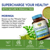 Terranics Moringa Supplement on a wooden table with green leaves