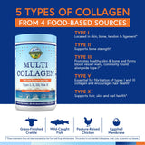 Terranics Multi Collagen Peptides Powder in a glass of water