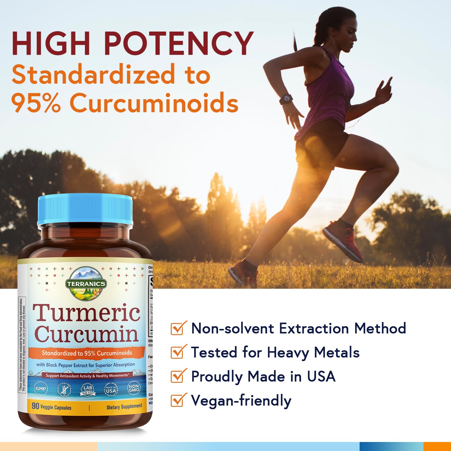 Terranics Turmeric Curcumin Capsules ingredients list