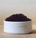 Terrasoul Superfoods Acai Berry Powder 4 oz package