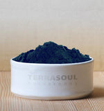 Terrasoul Superfoods Organic Chlorella Powder in a bowl with a spoon