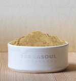 Terrasoul Superfoods Organic Triphala Powder scoop with powder