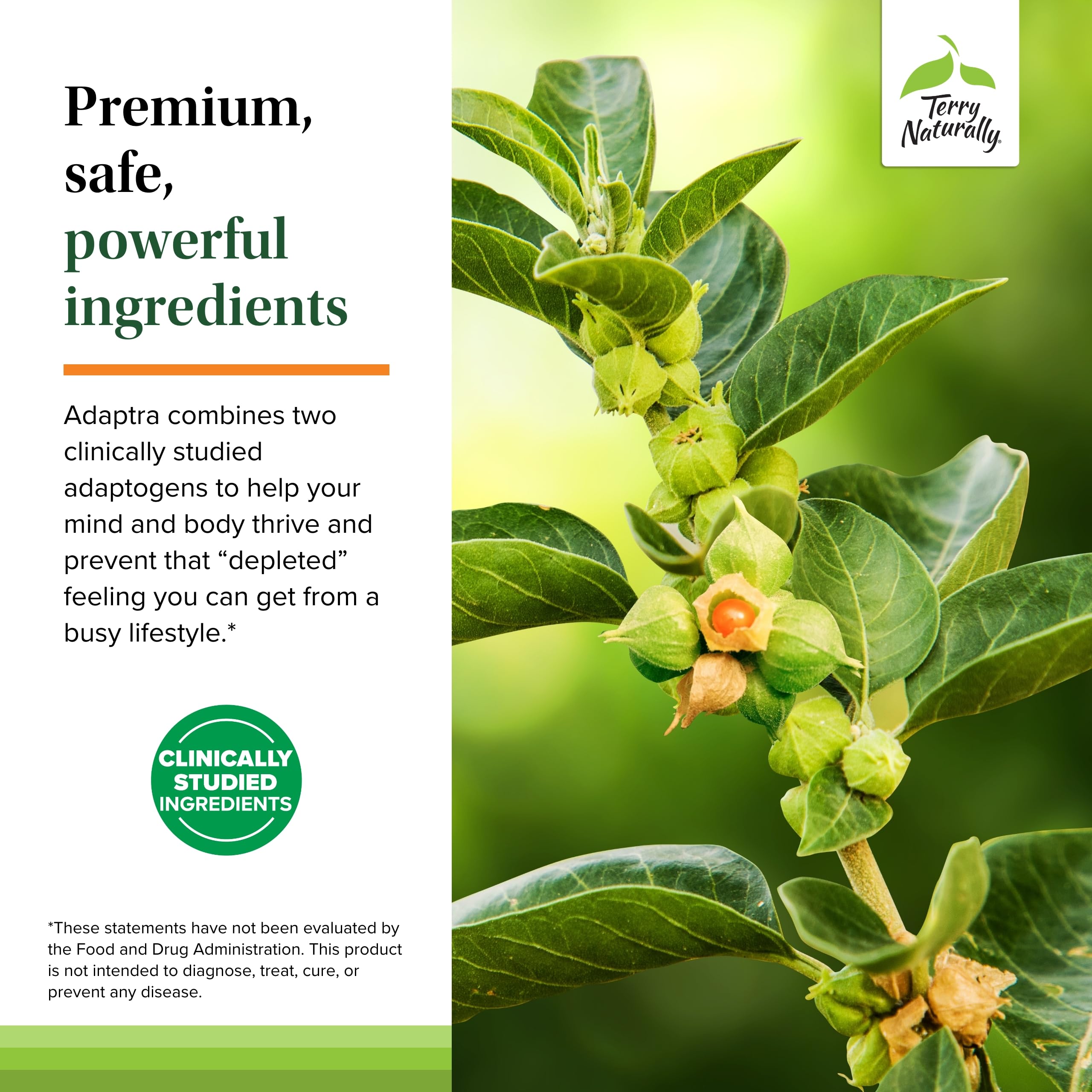 Terry Naturally Adaptra Ashwagandha Supplement packaging