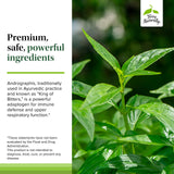 Terry Naturally Andrographis Paniculata 80g capsule in hand