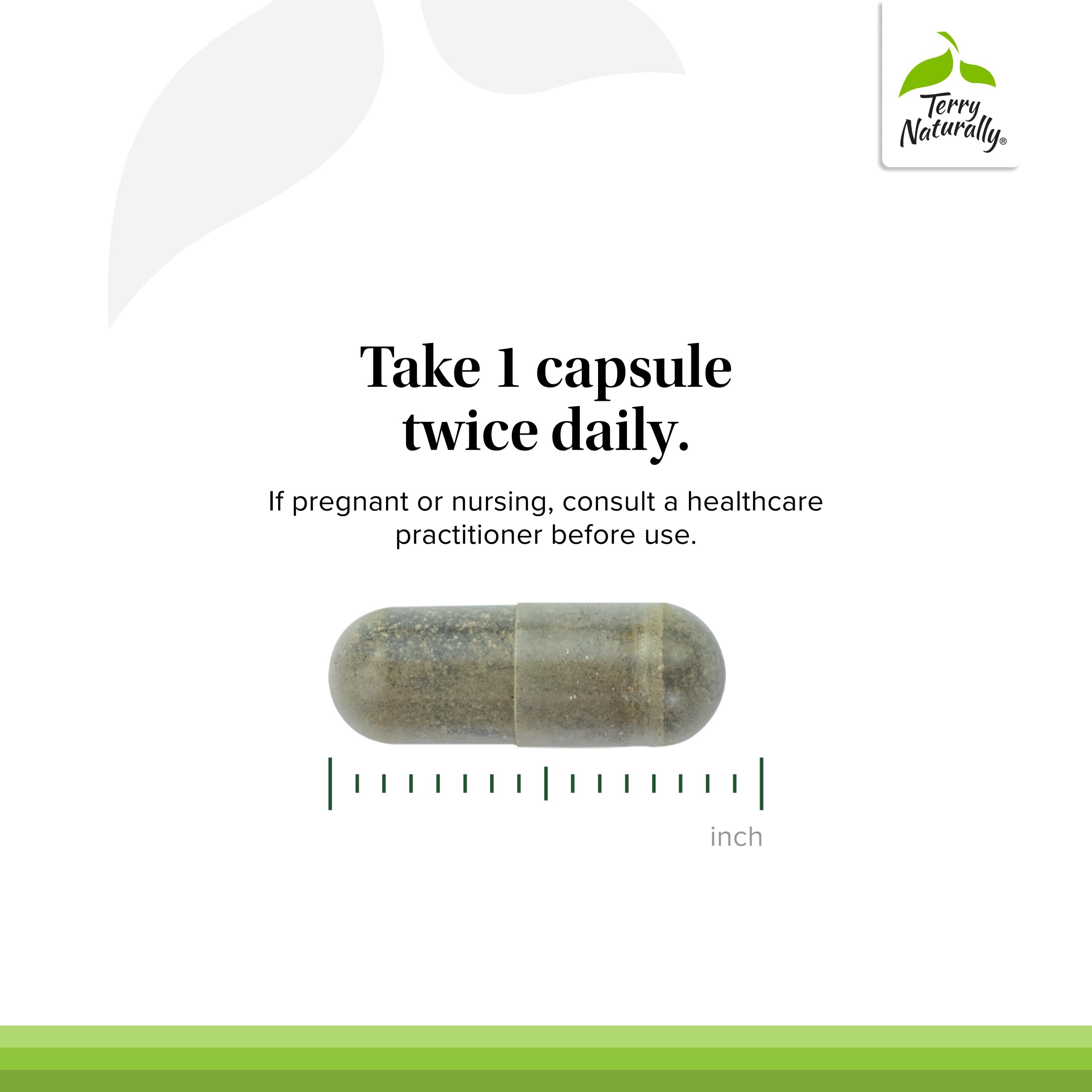 Terry Naturally Andrographis Paniculata 80g capsule ingredients list