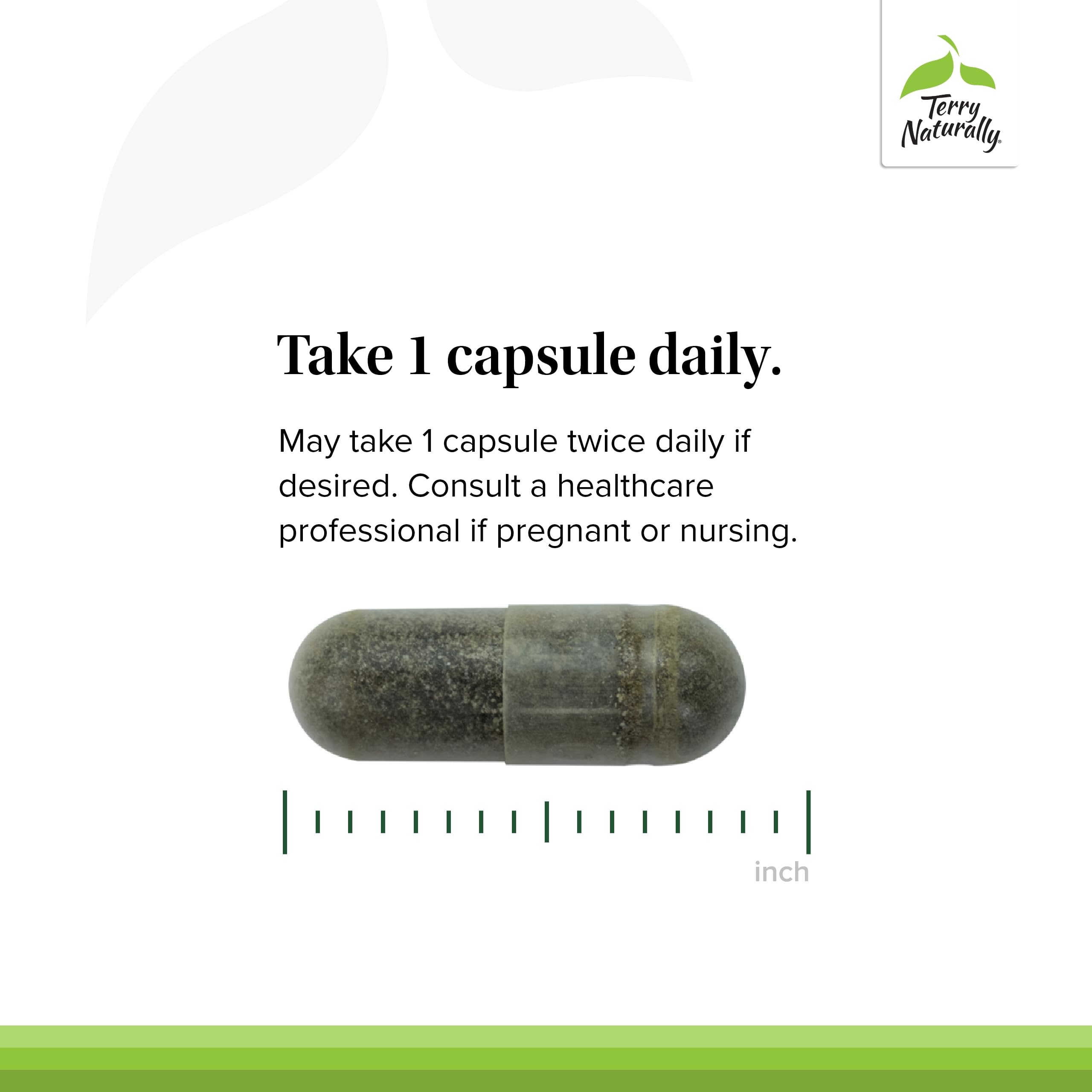 Terry Naturally Andrographis Paniculata supplement ingredients list