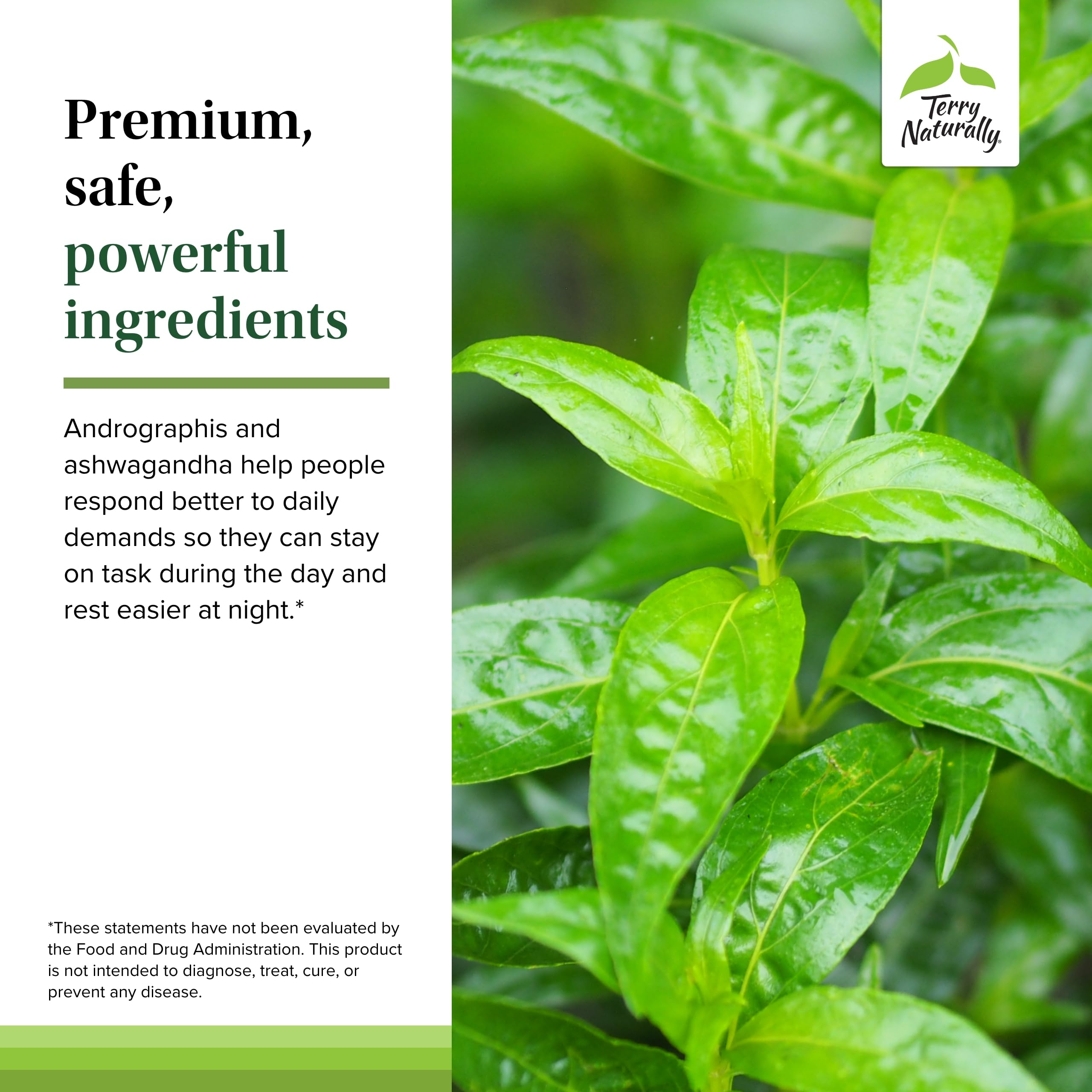 Terry Naturally Andrographis Paniculata Supplement ingredients list