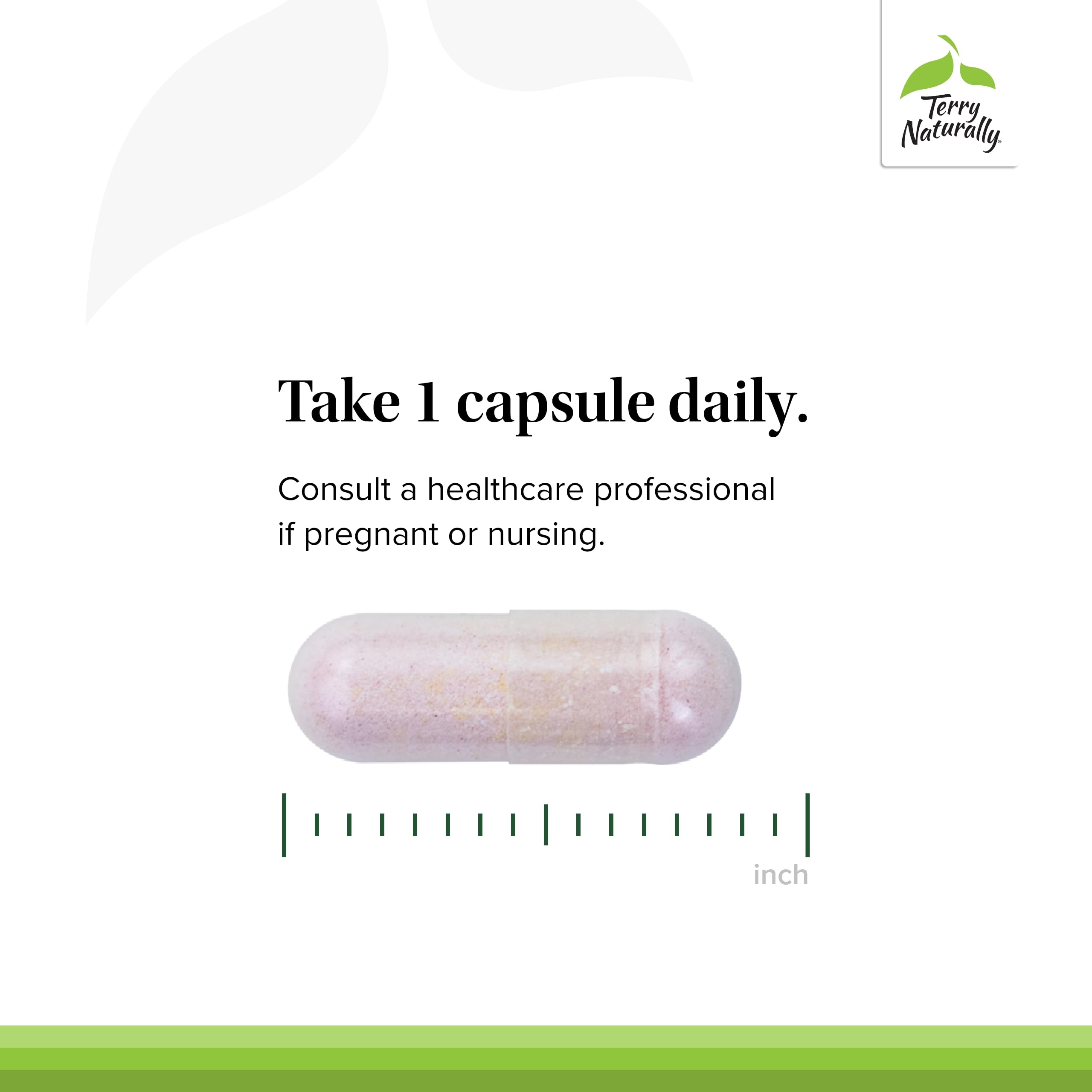 Terry Naturally B12 Vitamin Supplement 14g capsules