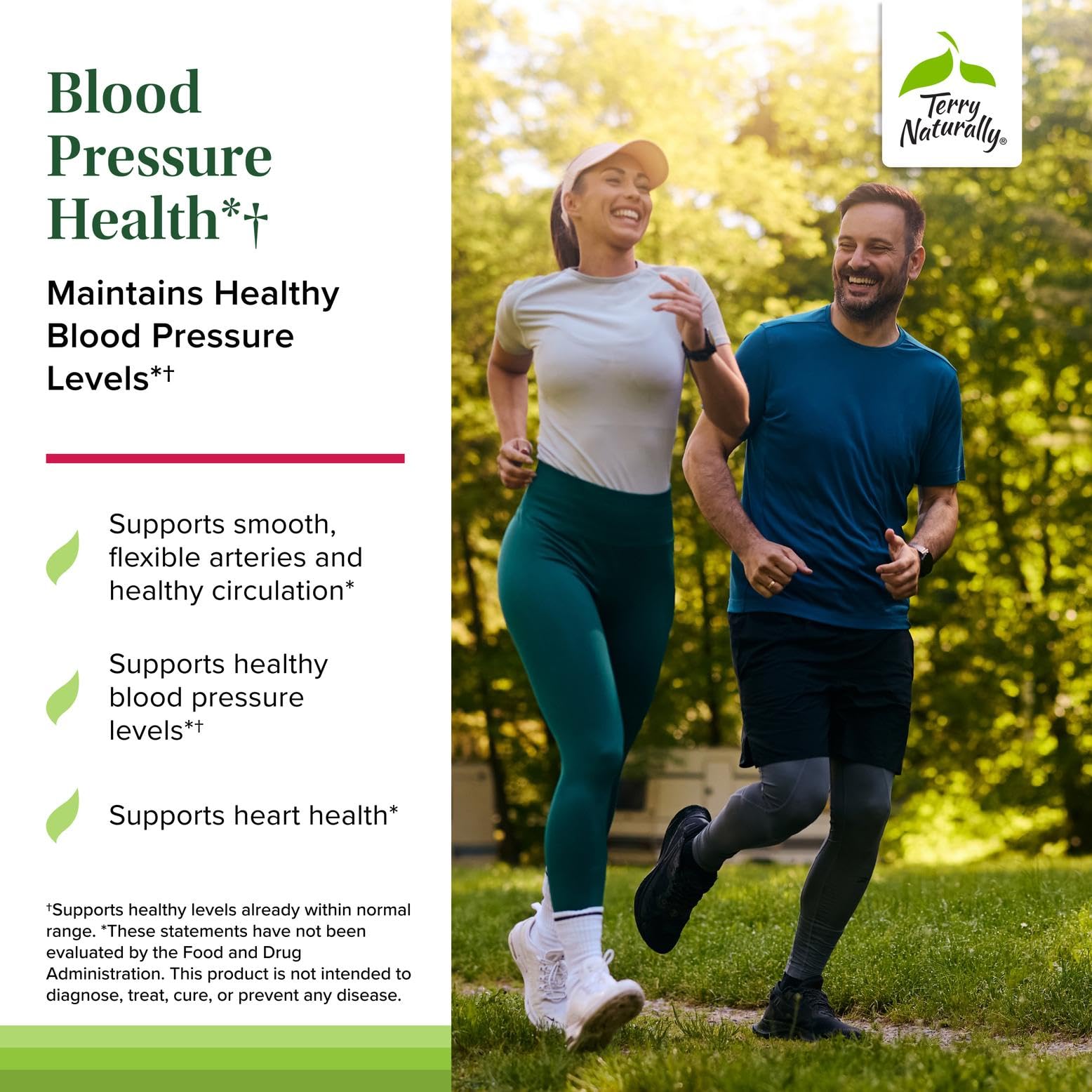 Terry Naturally Blood Pressure Health Supplement ingredients list