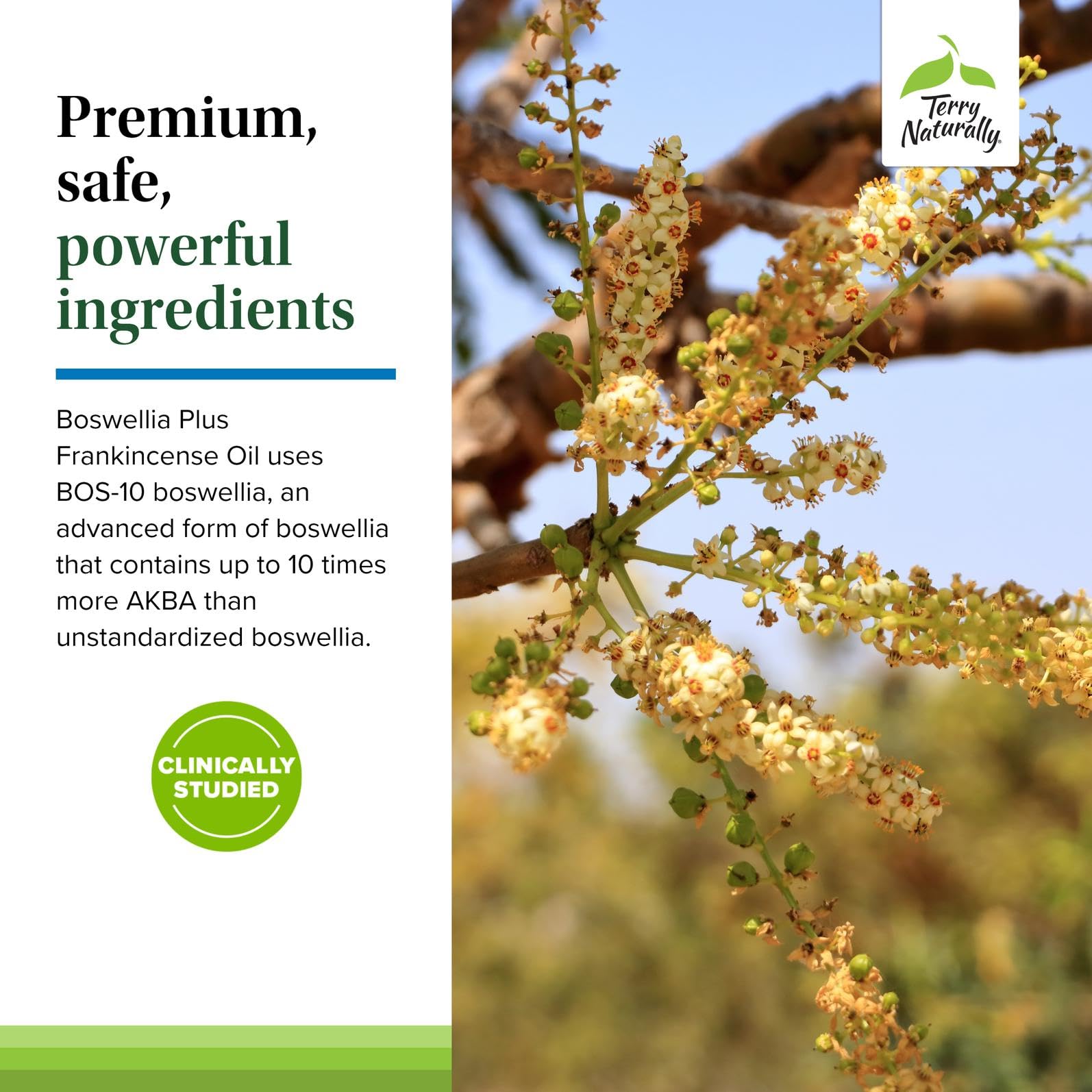 Terry Naturally BosMed Boswellia 14g ingredients list