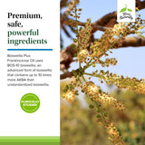 Terry Naturally BosMed Boswellia 14g ingredients list