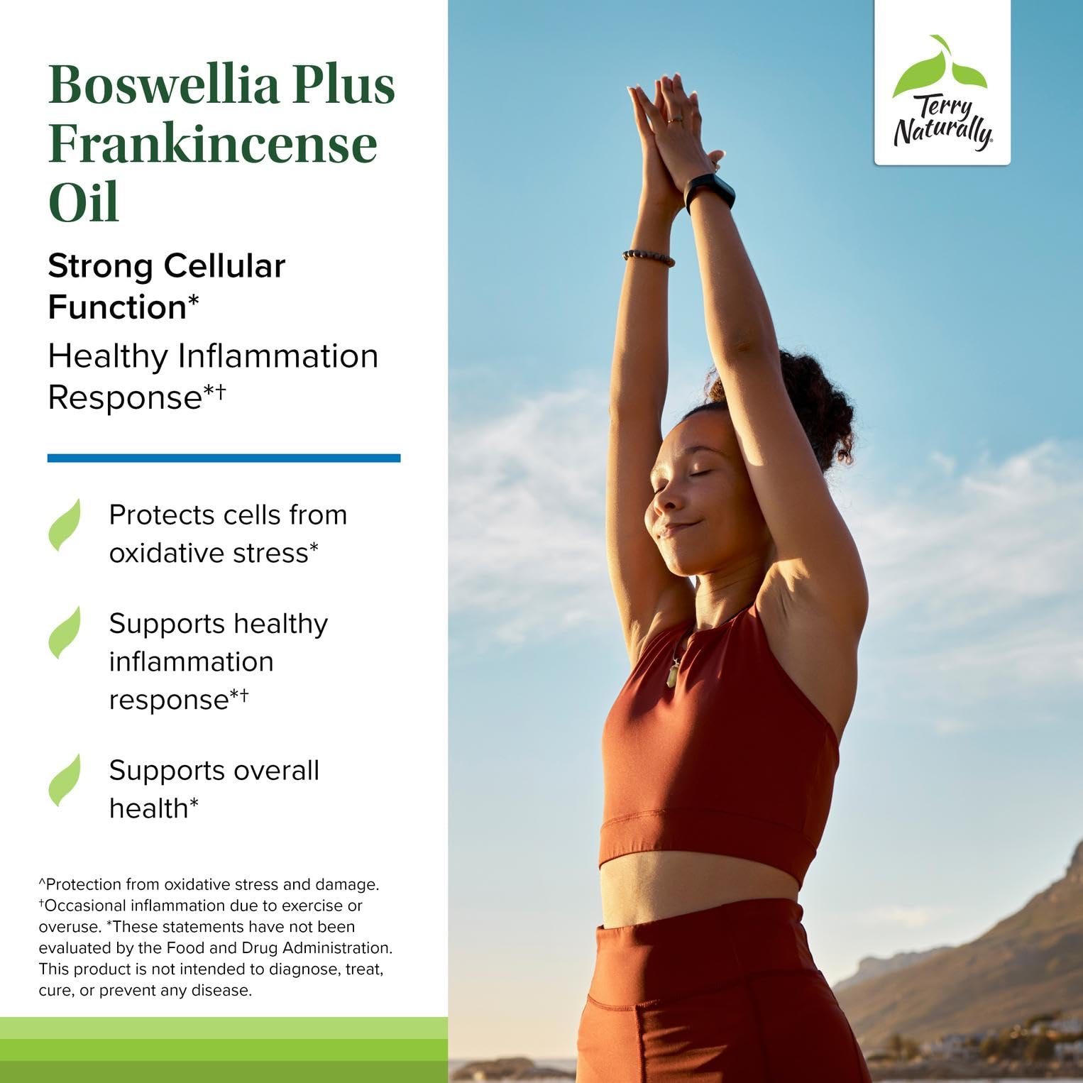 Terry Naturally BosMed Boswellia 14g packaging