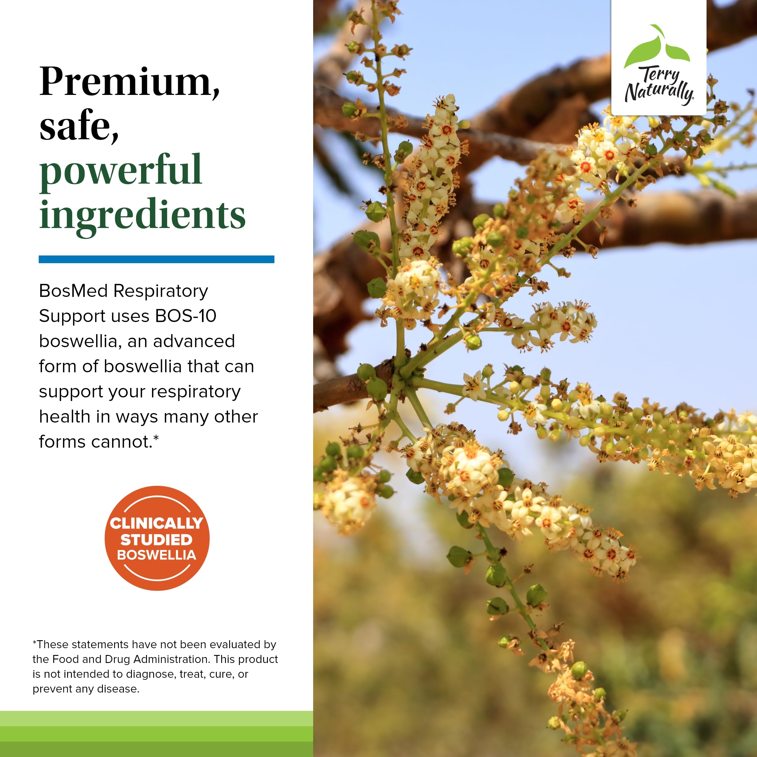 Terry Naturally BosMed supplement in a lifestyle setting