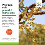 Terry Naturally BosMed supplement in a lifestyle setting