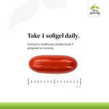 Terry Naturally CoQ10 Energy Supplement ingredients list