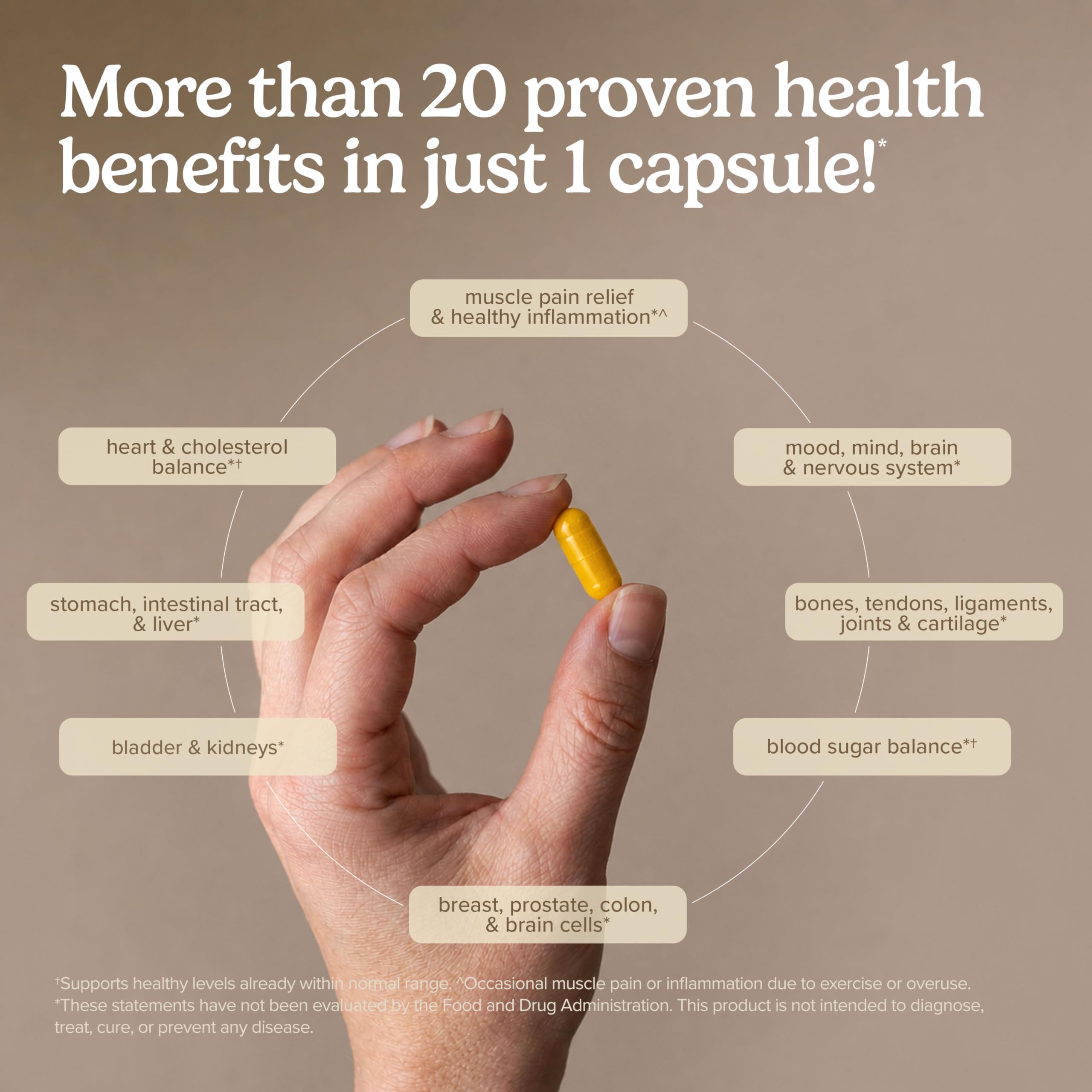Terry Naturally CuraMed Curcumin Supplement nutritional information