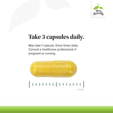 Terry Naturally Curamin Curcumin Supplement capsule close-up