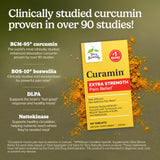 Terry Naturally Curcumin Supplement 120g back view with ingredients