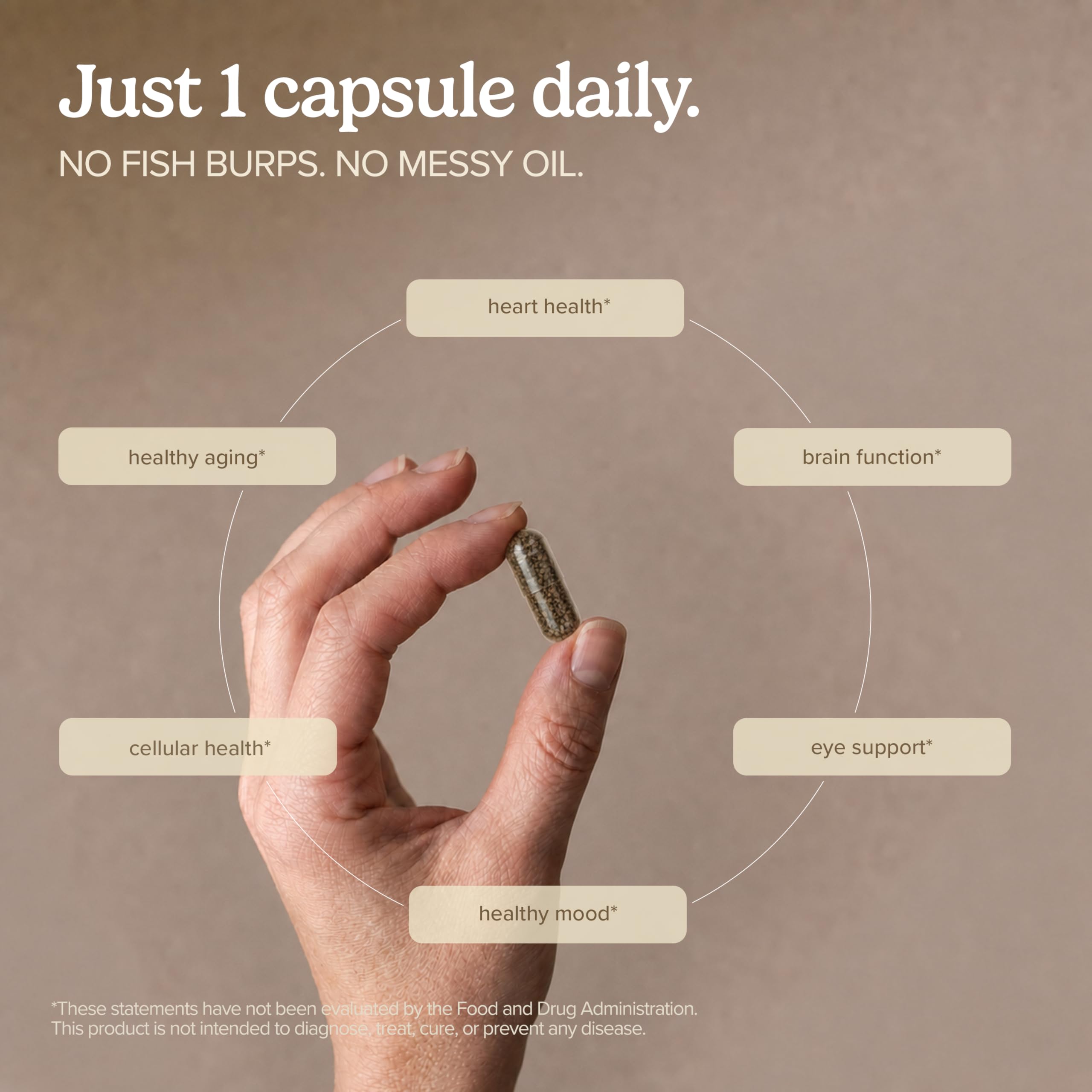 Terry Naturally Daily Supplement Capsules back view