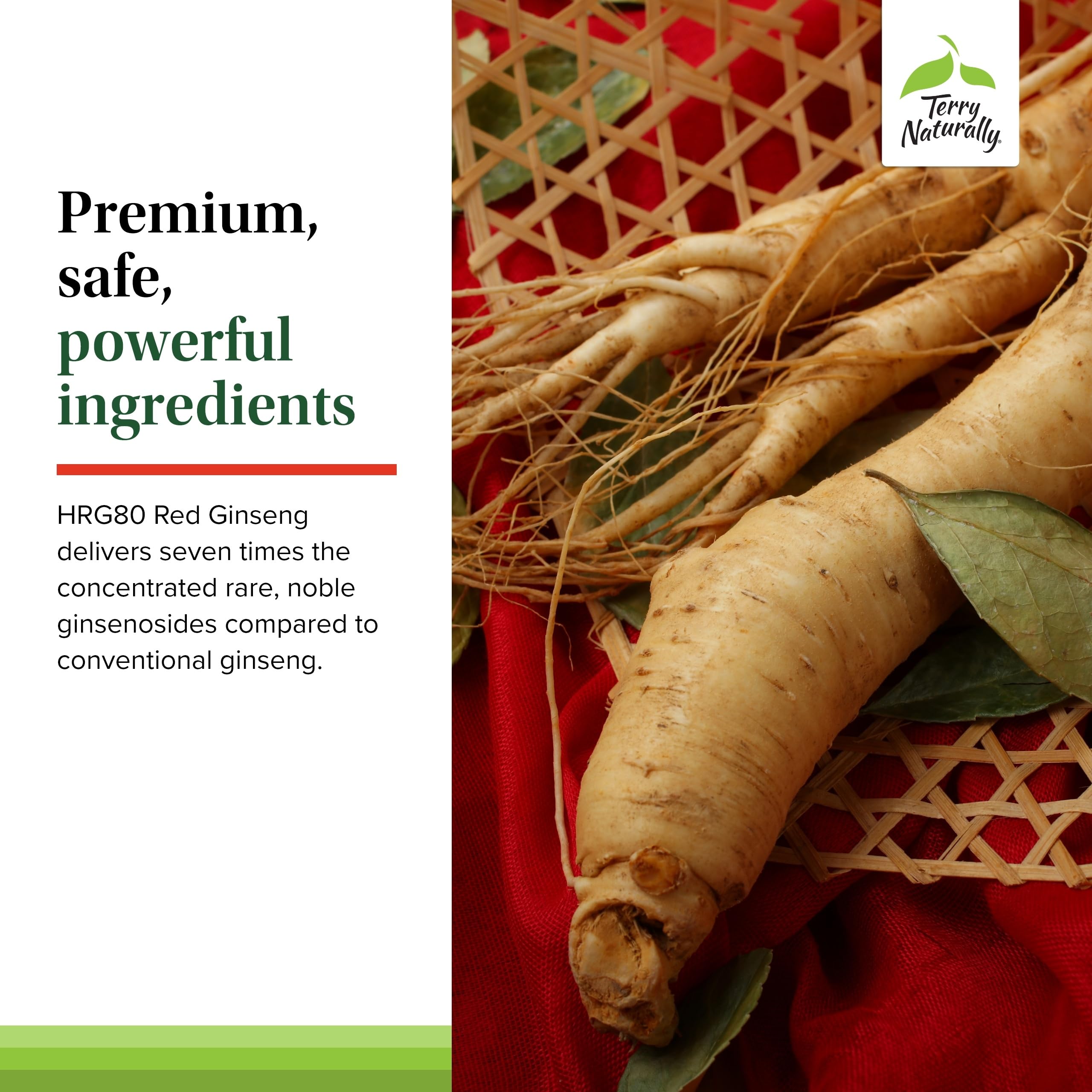 Terry Naturally Ginseng Supplement 50g capsule close-up