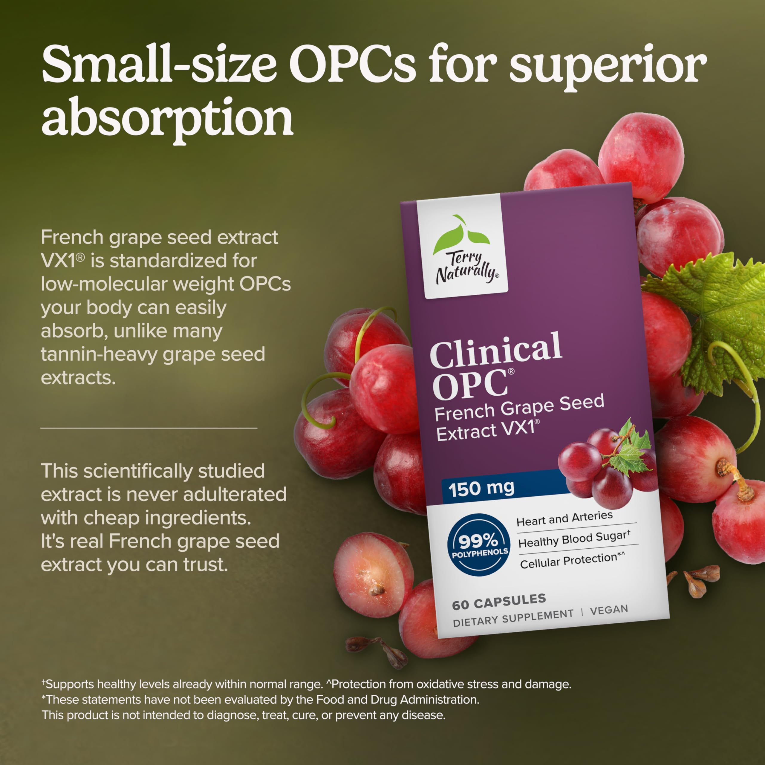 Terry Naturally Grape Seed Extract 150mg softgels bottle with label