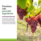 Terry Naturally Grape Seed Extract 300mg softgel packaging