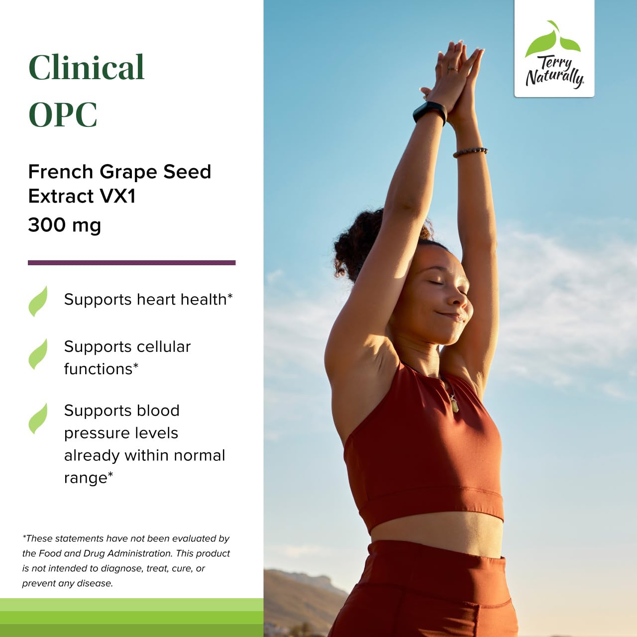 Terry Naturally Grape Seed Extract 300mg softgel with dosage information