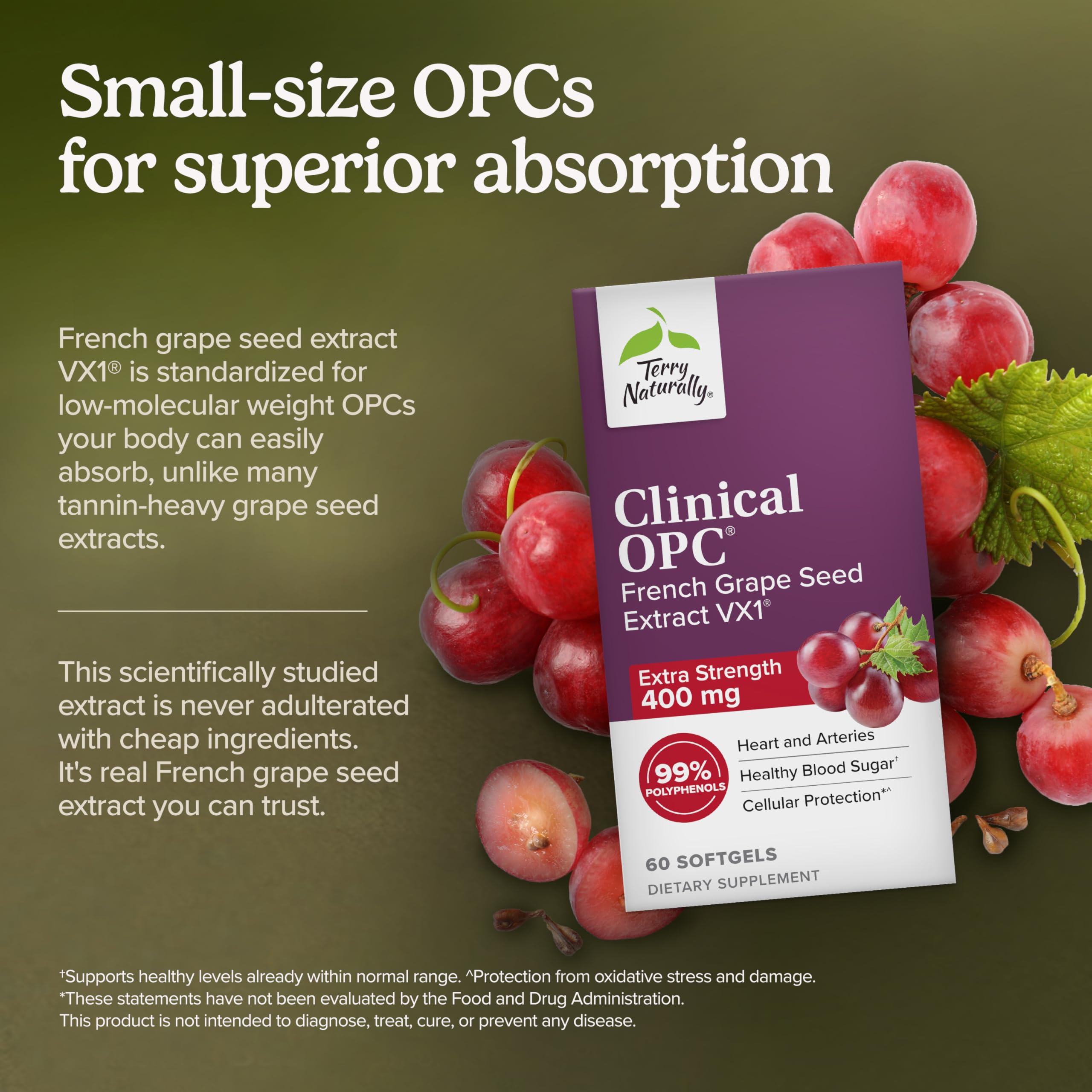 Terry Naturally Grape Seed Extract 68g softgel close-up