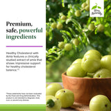 Terry Naturally Healthy Cholesterol with Amla 750mg Softgels ingredients list